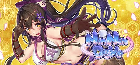 NinNinDays：忍びの鍛錬と諜報の物語