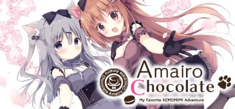 Amairo Chocolate: A Cozy Cafe Story