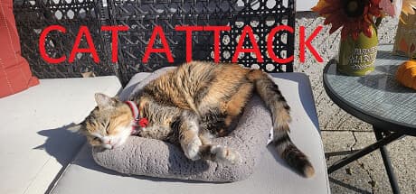 Cat Attack RPG: A Cute 90s JRPG Homage with Turn-Based Combat