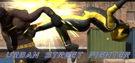 Urban Street Fighter: Hardcore 3D Beat 'em Up Action