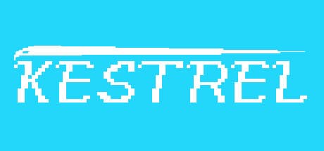 Kestrel – A Top-Down Bullet Hell Shooter with RPG Elements