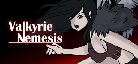 Valkyrie Nemesis: Journey Through the Dark Dungeon