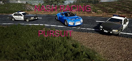Nash Racing: Pursuit – 警察の追跡をかわし、大金を掴め!