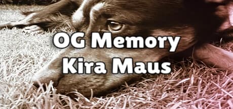 OG Memory: Kira Maus – A Casual Memory Game with Cute Dogs
