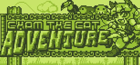 CHAM THE CAT ADVENTURE: 秘宝を求める王道プラットフォーマー