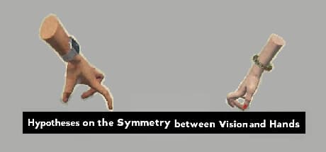 Hypotheses on the Symmetry between Vision and Hands: A Unique 3D Platformer
