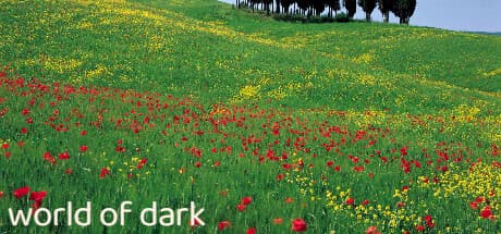 World of Dark: Dominate the Court