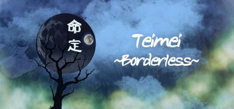 Teimei 定命 - Borderless -: 謎解きと弾幕のトップダウンシューター