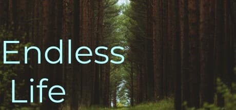 Endless Life: タイミングが鍵となる幾何学パズルプラットフォーマー