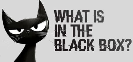 What is in the Black Box? – An Intellectual Meditation Puzzle