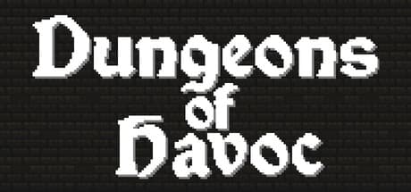 Dungeons of Havoc: 物理演算アクションRPG