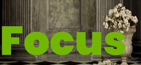 Focus:帽子をかぶった鳥の海賊アクションローグライク