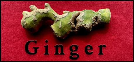 Ginger: A Language Adventure of Knowledge Creation