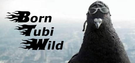 Born Tubi Wild: 都会の空を汚すハトになろう