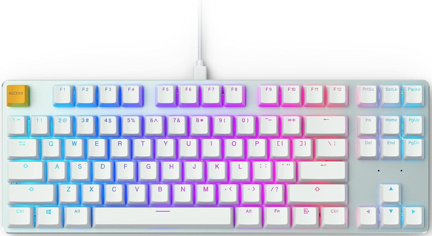 Glorious カスタムゲーミングキーボード - GMMK 85% TKL - USB C有線メカニカルキーボード - RGBホットスワップスイッチとキーキャップ - シルバー