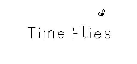 Time Flies: Live a Fly's Life on a Short Bucket List