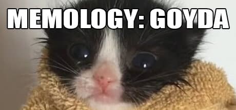 MEMOLOGY: GOYDA - The Ultimate Meme Exam Simulation