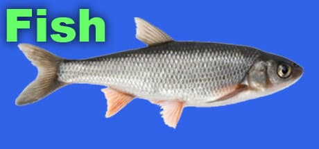 Fish — クリックして集め、海を制覇しよう