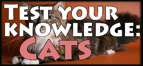 Test your knowledge: Cats - 猫種の知識を試すトリビアチャレンジ